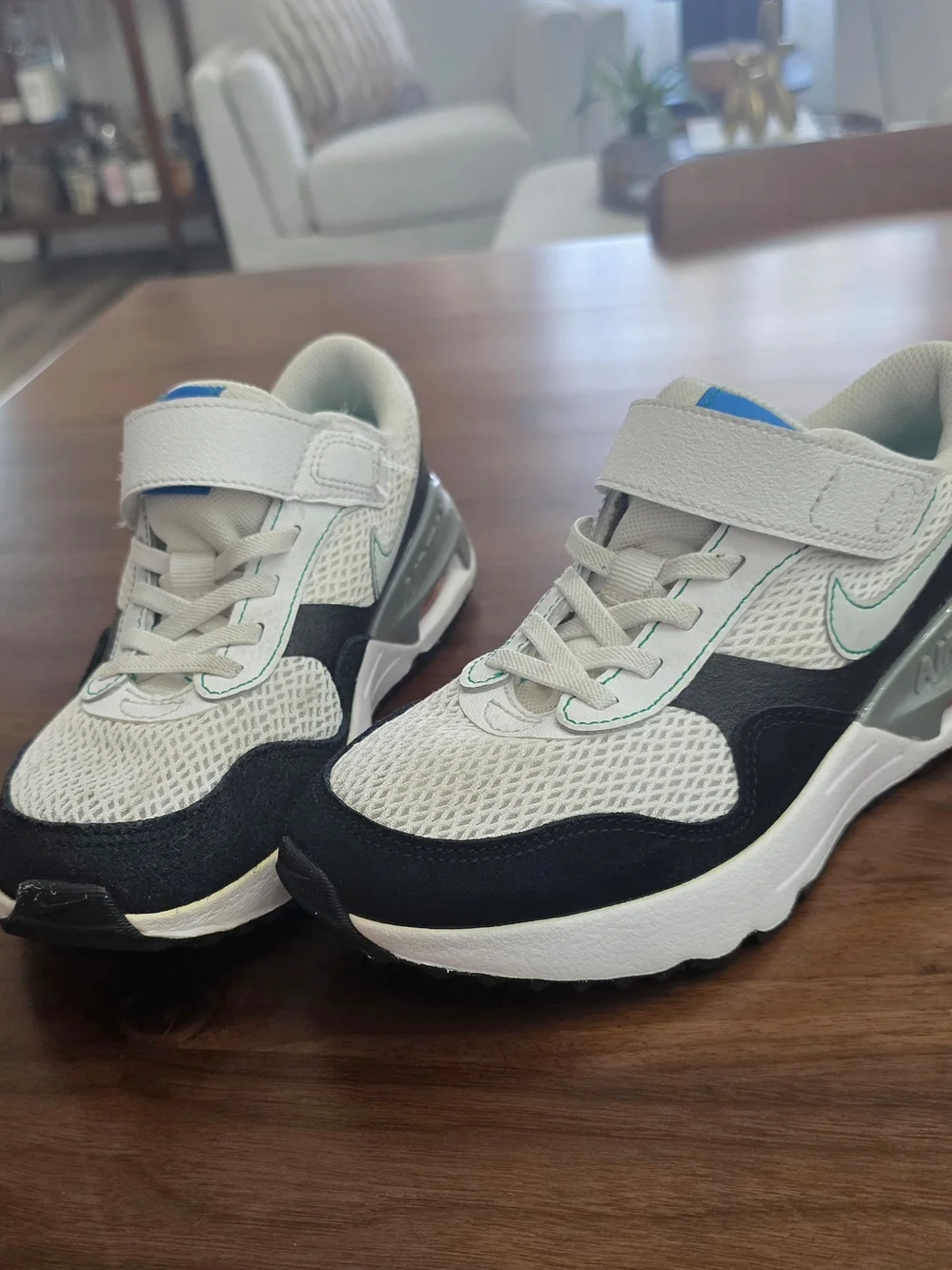 Youth Nike Airmax Sneakers